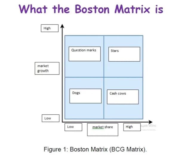 Features of Strategic Decision-Making in Business Using the Boston Matrix and Data Mining